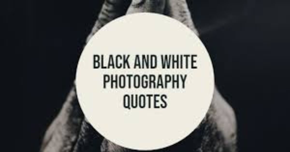 Inspirational black and white photography quotes for photographers.