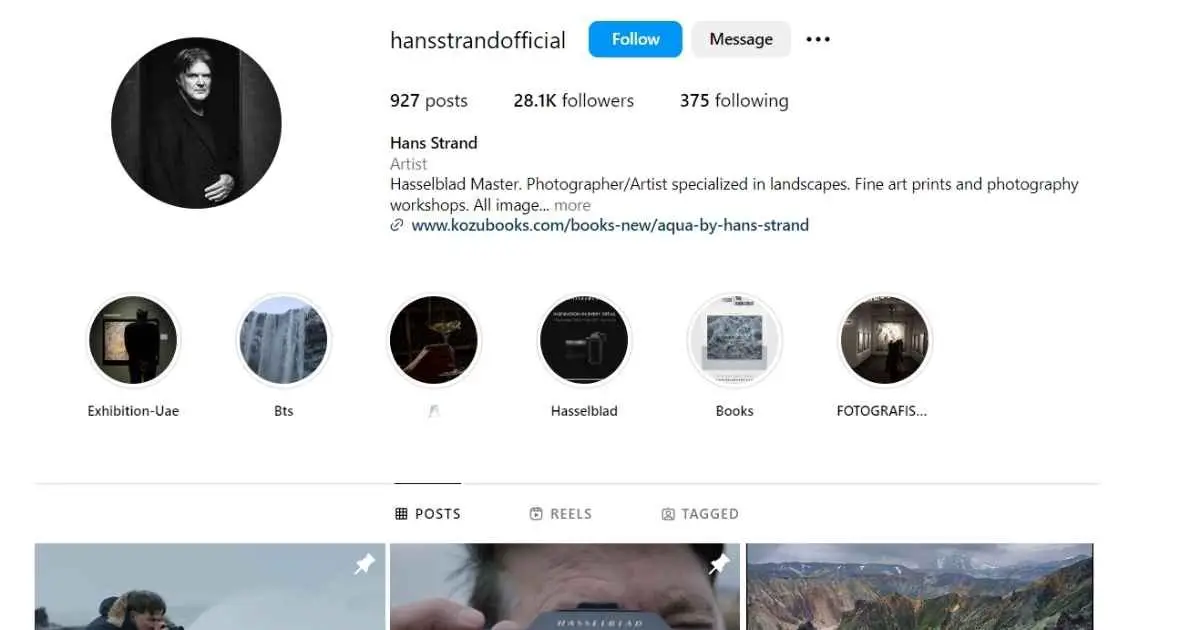 Screenshot of a woman's Instagram page showcasing her profile, posts, and follower count in a visually appealing layout.