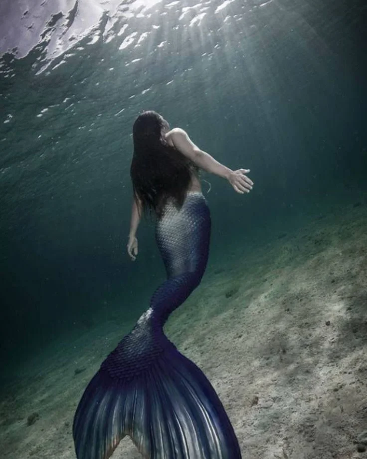 A vibrant mermaid tail gracefully glides through the clear blue waters, showcasing the beauty of underwater photography.