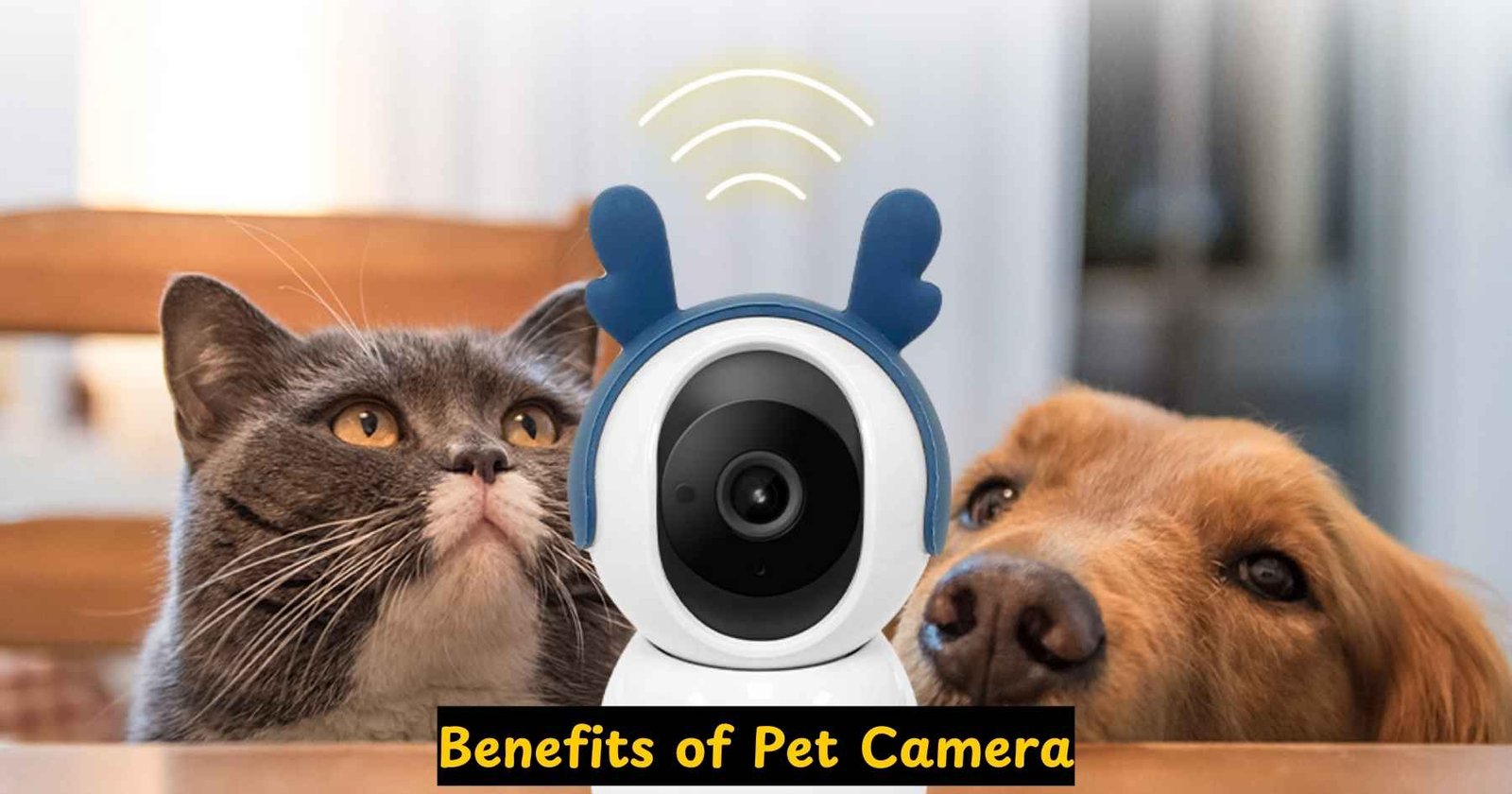 A pet camera showing a happy dog playing at home, highlighting the joy of monitoring pets remotely.