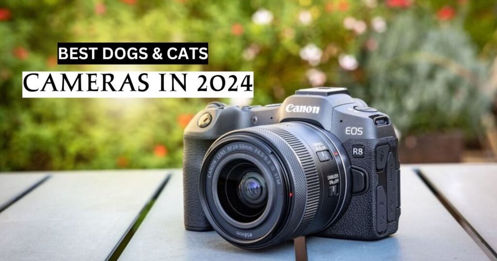 The 10 Best Dogs & Cats Cameras in 2024