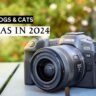 A collection of the best cameras for capturing adorable moments of dogs and cats in 2020.