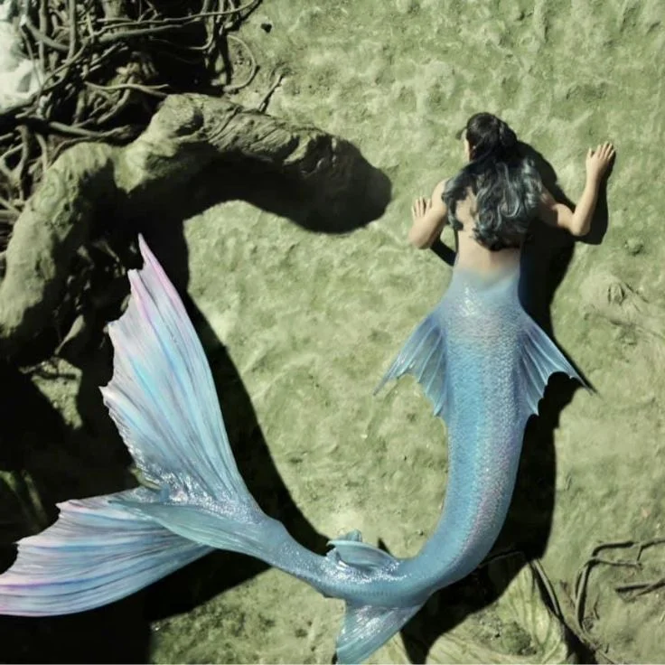 A woman reclines on the ground, adorned with a vibrant blue mermaid tail, captured in a stunning mermaid-themed photograph.