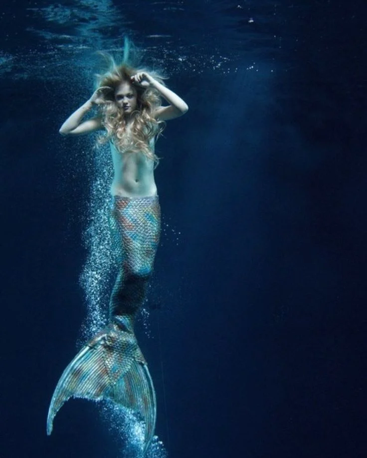 A mermaid gracefully swims through the vibrant ocean waters, showcasing the beauty of underwater photography.