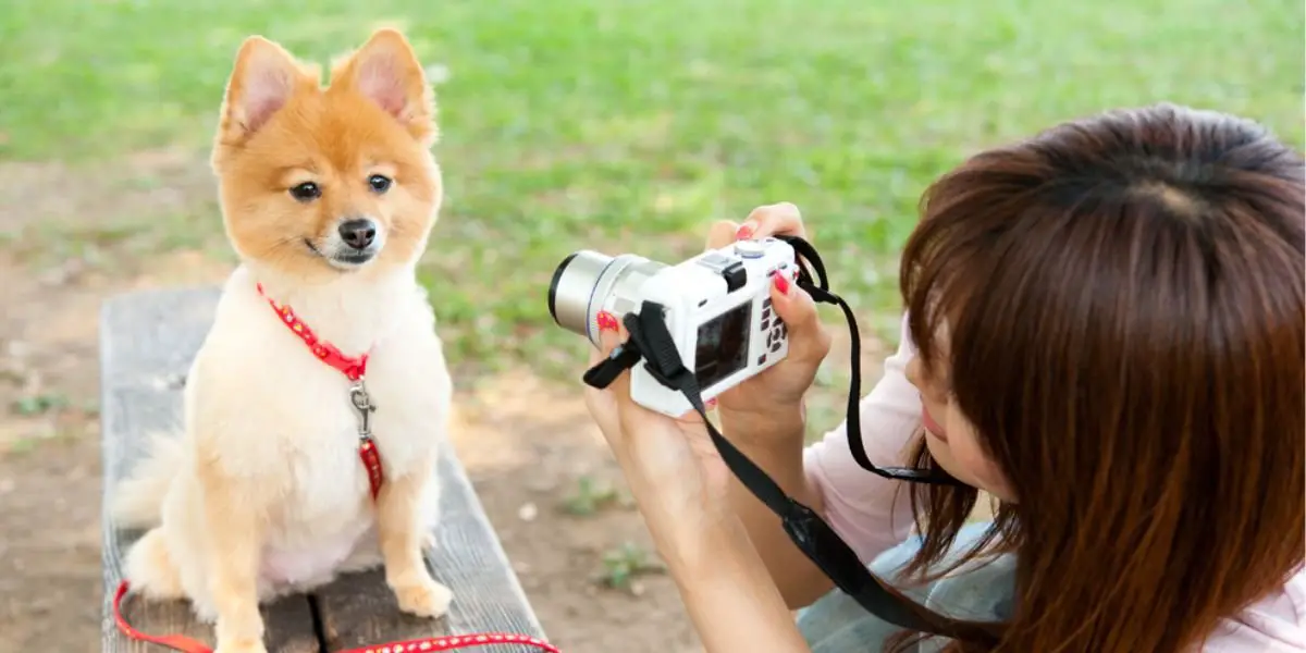 A woman captures a photo of a dog using a camera, showcasing a moment of joy and companionship.